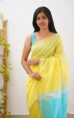 Pastel Grace Soft Organza Saree - Image 9