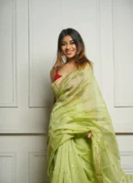 Golden Sheer Tissue Silk Saree with Zari Border – Festive & Occasion Wear - Image 15