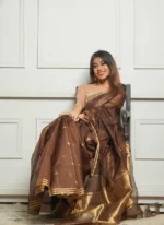 Golden Sheer Tissue Silk Saree with Zari Border – Festive & Occasion Wear - Image 24