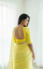 Pastel Grace Soft Organza Saree - Image 13