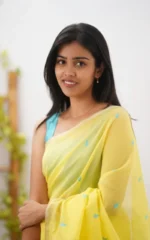 Pastel Grace Soft Organza Saree - Image 7