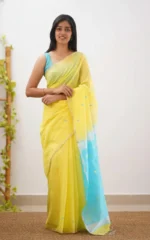 Pastel Grace Soft Organza Saree - Image 6