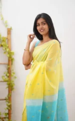Pastel Grace Soft Organza Saree - Image 5