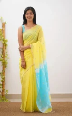 Pastel Grace Soft Organza Saree - Image 4