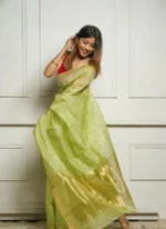 Golden Sheer Tissue Silk Saree with Zari Border – Festive & Occasion Wear - Image 11