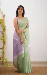 Pastel Grace Soft Organza Saree - Image 38