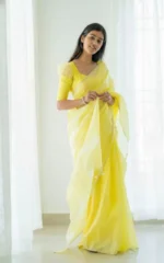 Pastel Grace Soft Organza Saree - Image 10