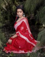 Crimson Red Saree with Elegant Woven Border & Motifs - Image 5