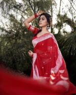 Crimson Red Saree with Elegant Woven Border & Motifs - Image 4
