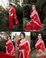 Crimson Red Saree with Elegant Woven Border & Motifs - Image 8