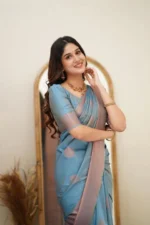 Elegant Essence Silk Saree with Classic Woven Border - Image 14
