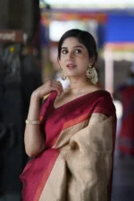 Heritage Contrast Silk Saree with Dual Tone Border - Image 20