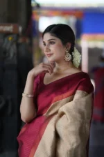 Heritage Contrast Silk Saree with Dual Tone Border - Image 18